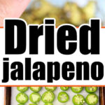 Hand holding a dried jalapeno slice above a tray of fresh jalapeno slices, with text Dried Jalapeno highlighting the contrast between dried and fresh.
