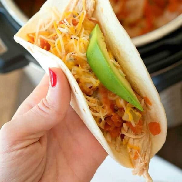 A hand holding a soft taco filled with instant pot salsa chicken, cheese, salsa, and avocado slices.
