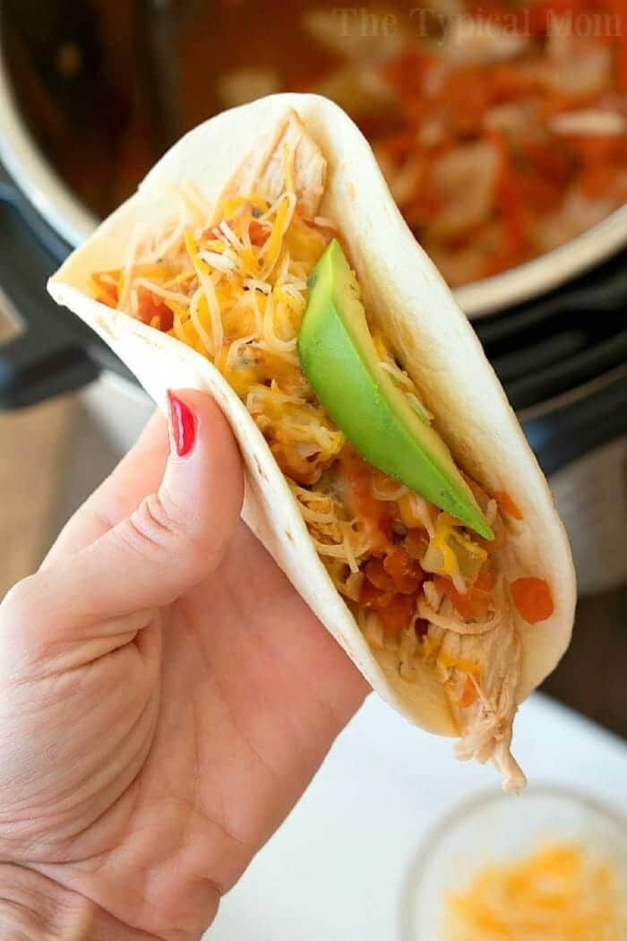 A hand holding a soft taco filled with instant pot salsa chicken, cheese, salsa, and avocado slices.