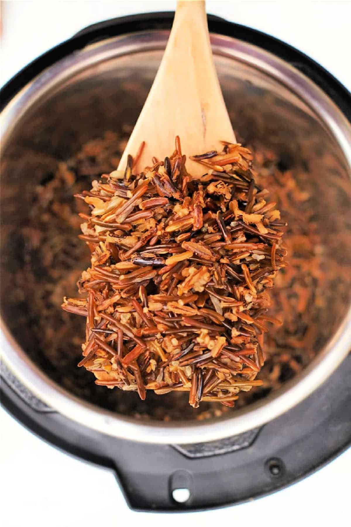 A wooden spoon lifts cooked wild rice from a Black Rice Instant Pot.