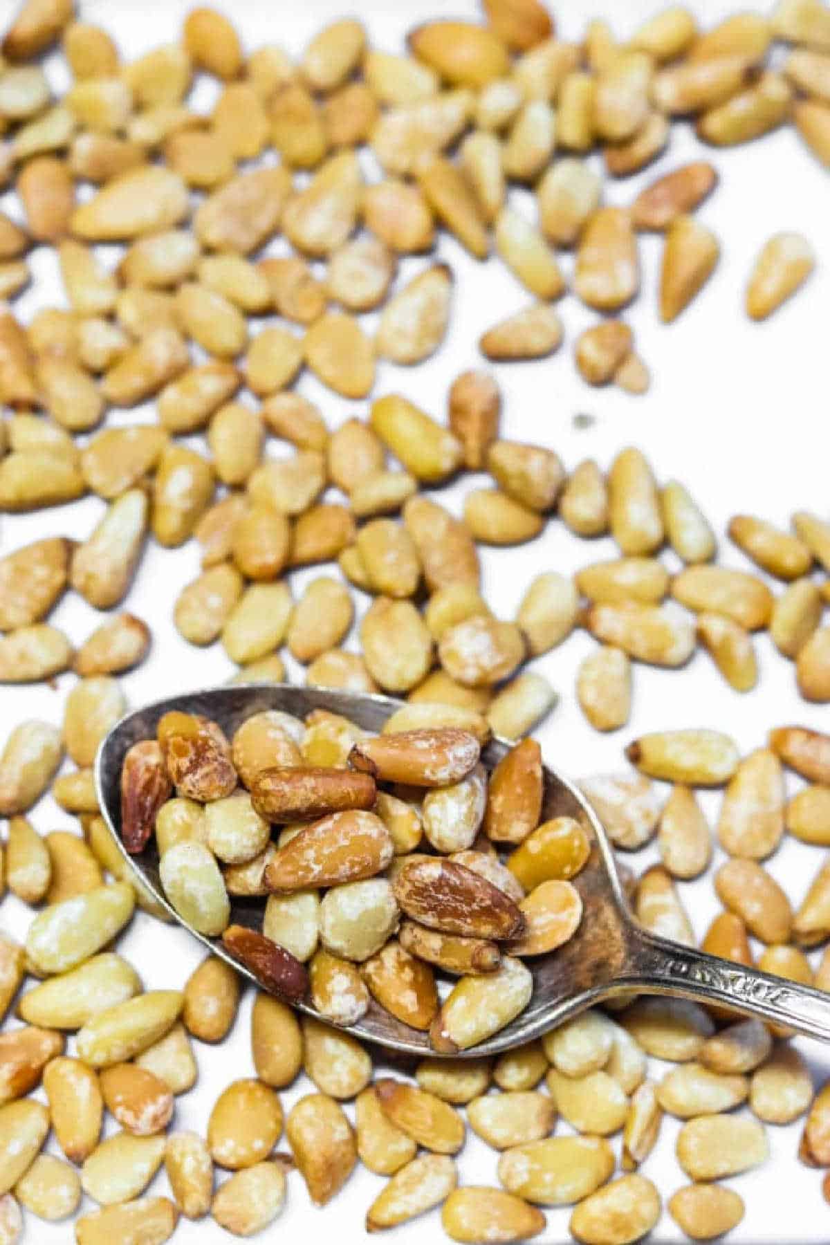 A spoonful of roasted pine nuts, a perfect example of how to roast pine nuts, with more pine nuts scattered on a white surface.