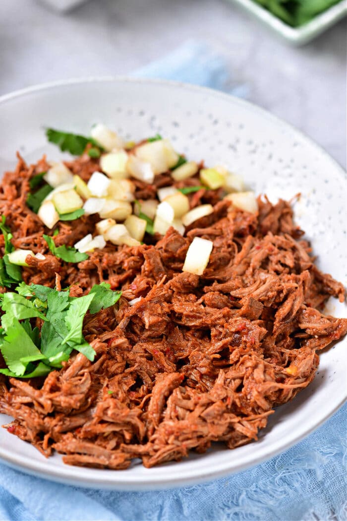 Copycat Trader Joes Beef Birria