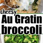 au gratin with broccoli