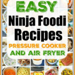 72+ Easy Ninja Foodi Recipes + Instructions How to Use the Foodi