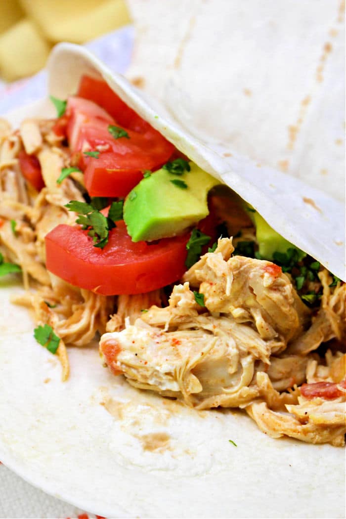 A soft taco filled with Pressure Cooker Chicken Tacos, sliced tomatoes, avocado, and chopped cilantro.