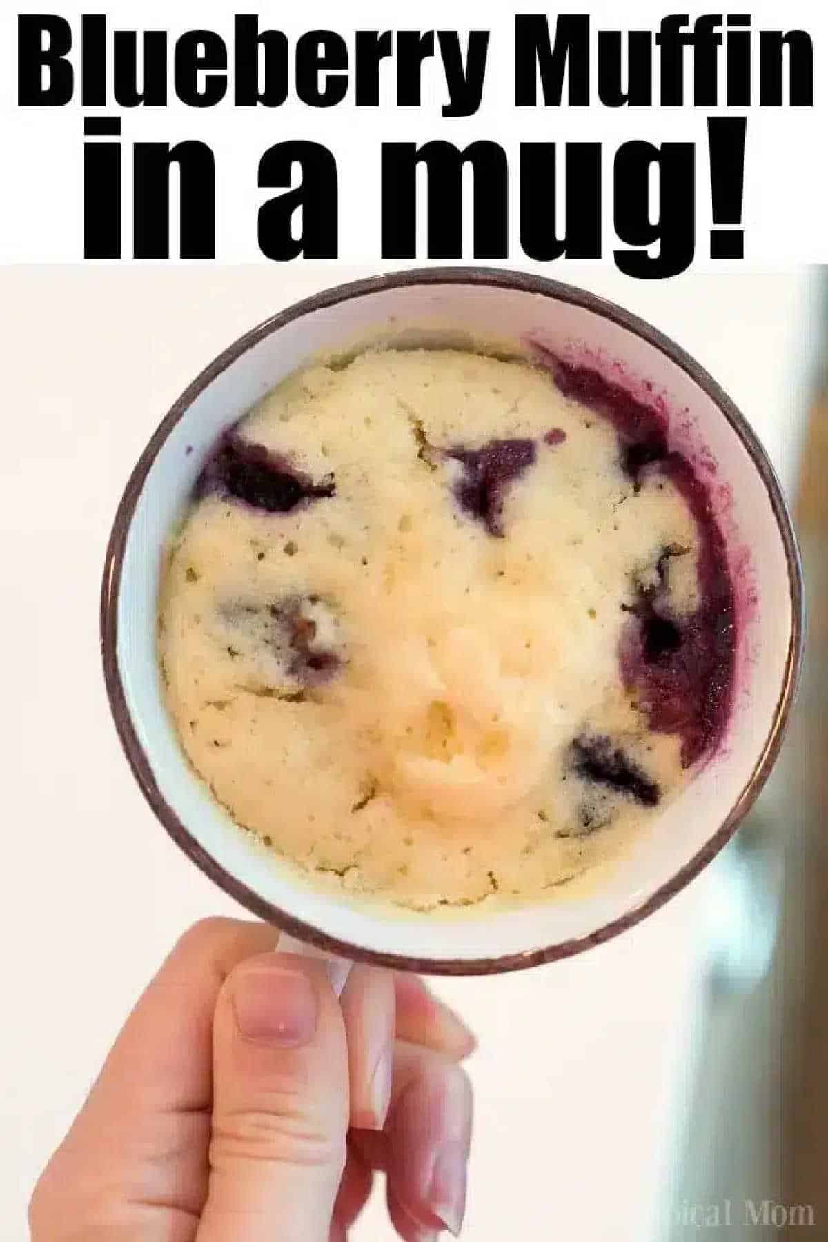 Hand holds a mug with a baked blueberry muffin in a mug; text above reads “Blueberry Muffin in a Mug!”.