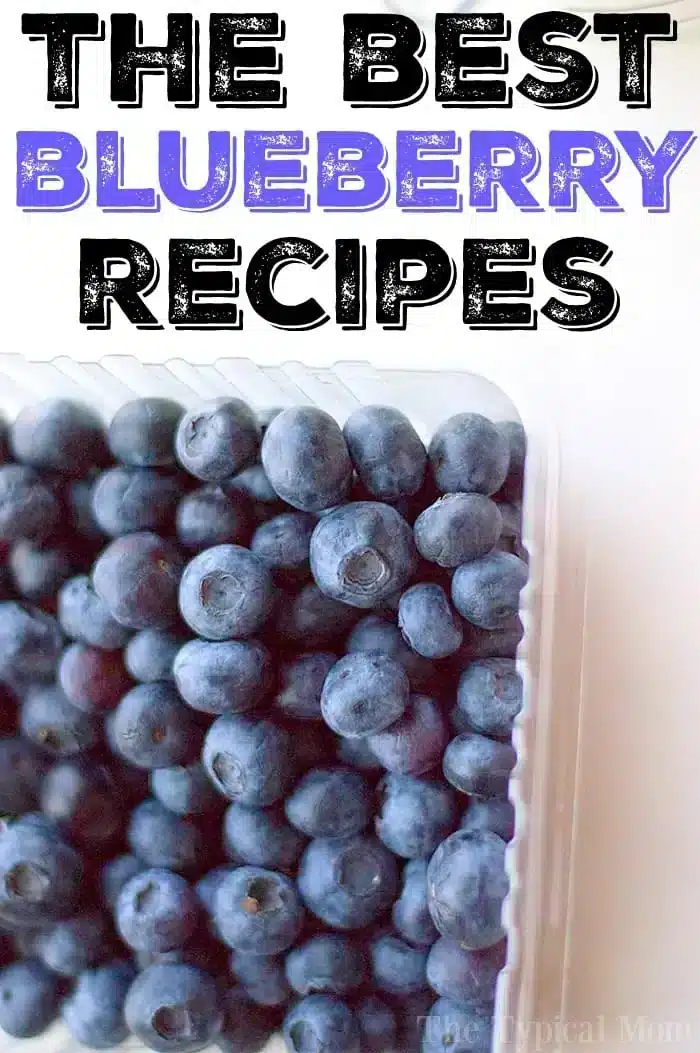 A plastic container filled with fresh blueberries is shown beneath text that reads "The Best Blueberry Recipes," featuring quick and delightful treats like blueberry muffin in a mug.