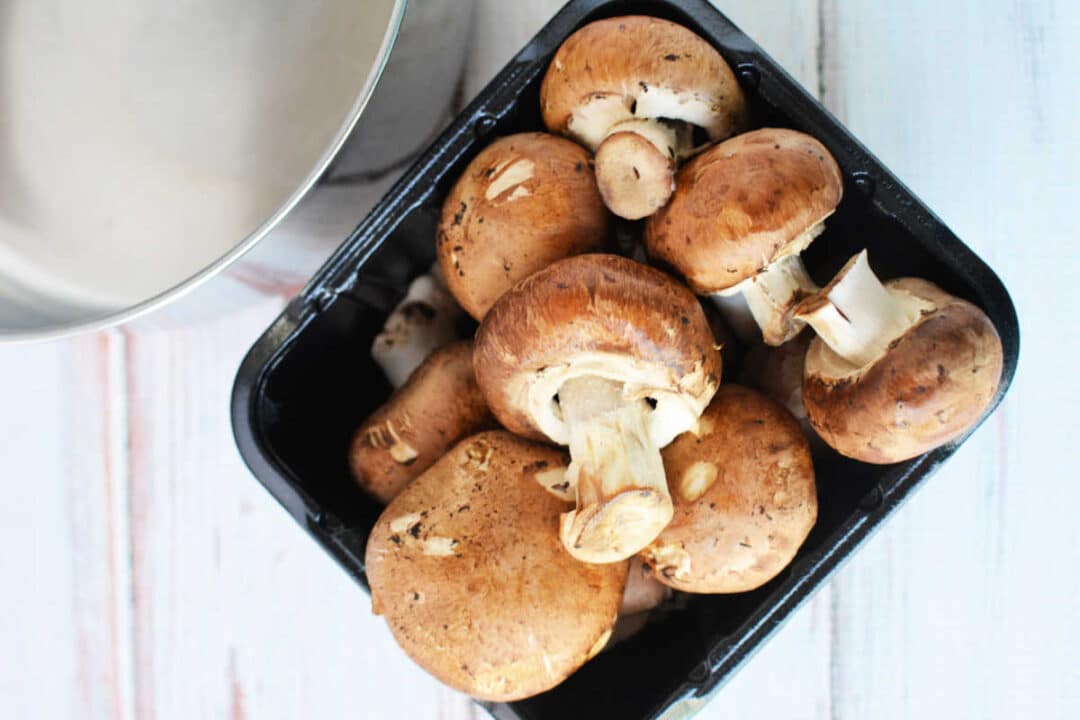 Boiled Mushrooms on the Stove - How Long to Boil Mushrooms
