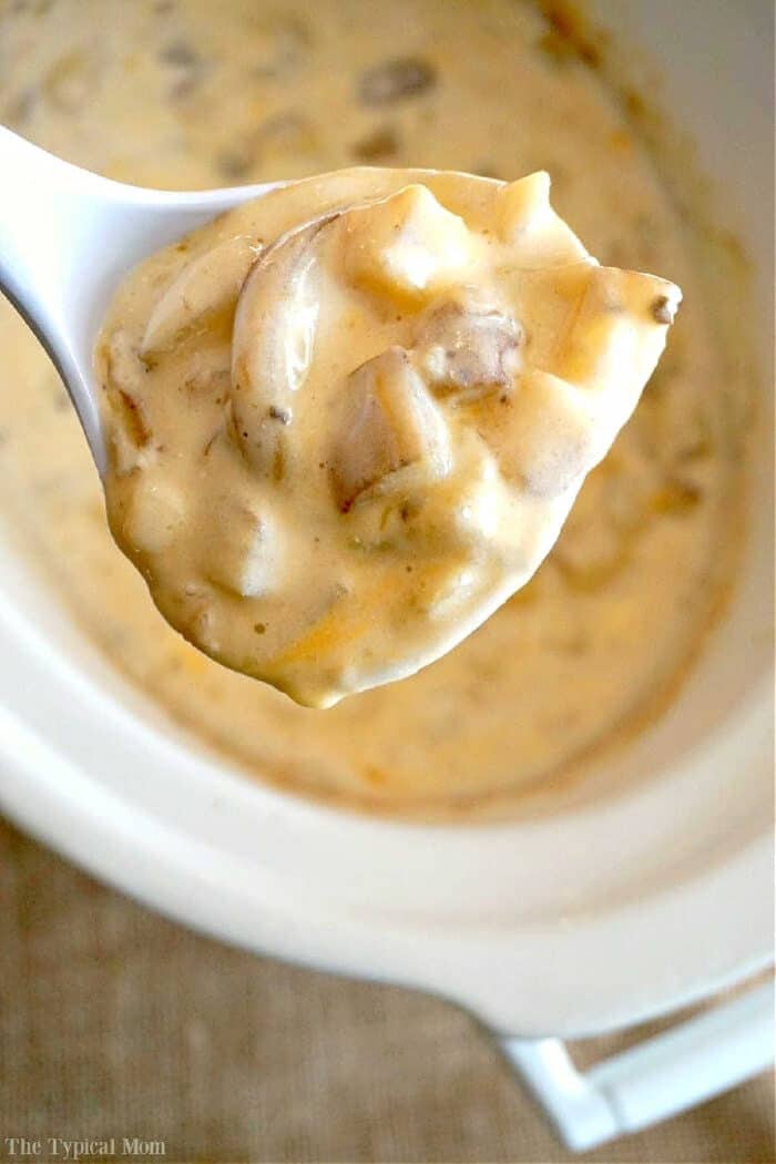 This totally loaded baked potato soup in the crockpot is super easy recipe to make and so delicious! You only need a few ingredients and it only costs about $10 to feed up to 6 people. Stovetop and pressure cooker potato soup instructions included too so you can cook it any way you want. #potato #soup #loaded #crockpot #slowcooker #pressurecooker #cheese A close-up of a spoonful of creamy mushroom soup, reminiscent of the richness found in crockpot loaded baked potato soup, over a white pot.