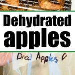 Dehydrated apple rings on drying racks show how to dehydrate apples, then are stored in a labeled plastic bag reading Dried Apples.