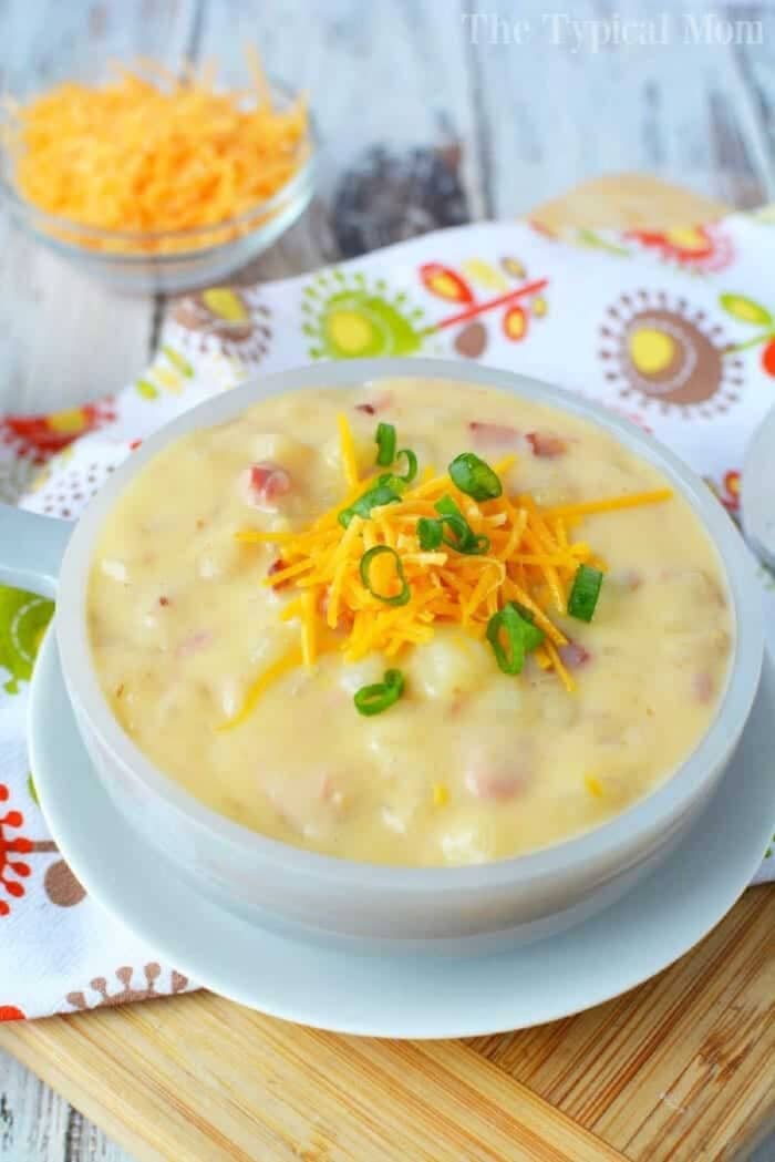 This crockpot loaded baked potato soup is super easy recipe to make and so delicious! You only need a few ingredients and it only costs about $10 to feed up to 6 people. Stovetop and pressure cooker potato soup instructions included too so you can cook it any way you want. #potato #soup #crockpotrecipes #crockpot #slowcooker #pressurecooker #cheese A bowl of creamy Crockpot loaded baked potato soup topped with shredded cheese and chopped green onions.