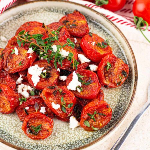 Roasted Ninja Foodi Tomatoes Dehydrated Air Fryer Sun Dried