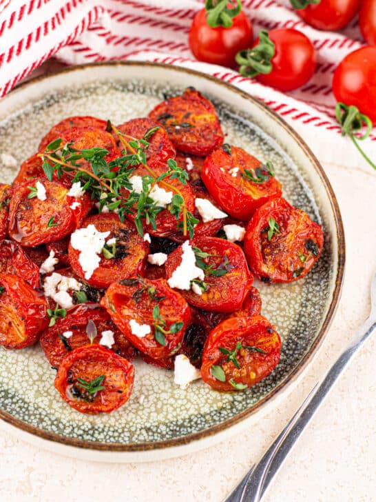 Roasted Ninja Foodi Tomatoes Dehydrated Air Fryer Sun Dried