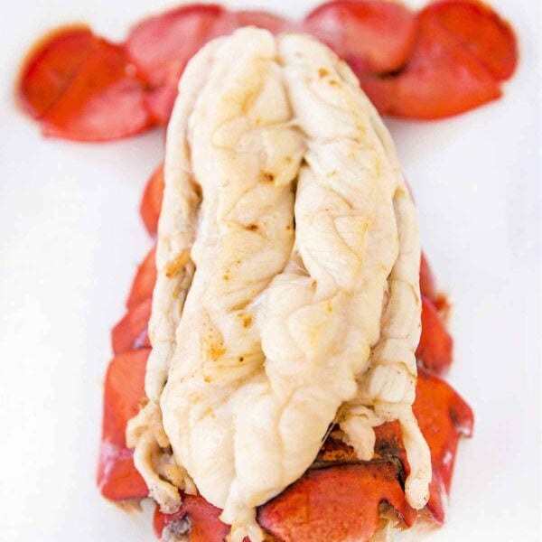 Instant Pot Lobster Tail with the white meat exposed, resting on a vibrant red shell against a clean white background.