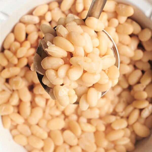 A ladle holding white beans hovers above a bowl filled with more uniformly light tan, cooked beans. The scene captures the simplicity of how to cook Great Northern Beans.