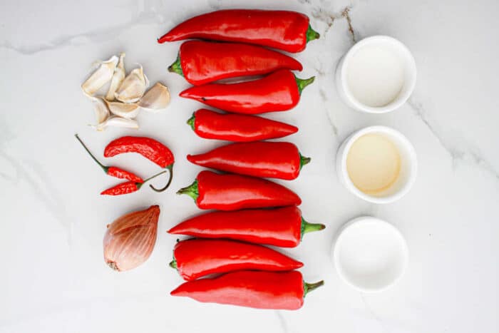 Organized on a white surface are ingredients for a Garlic Chili Paste recipe: a cluster of garlic cloves, two small red chili peppers, a shallot, several large red chili peppers, and four small white bowls containing different ingredients.