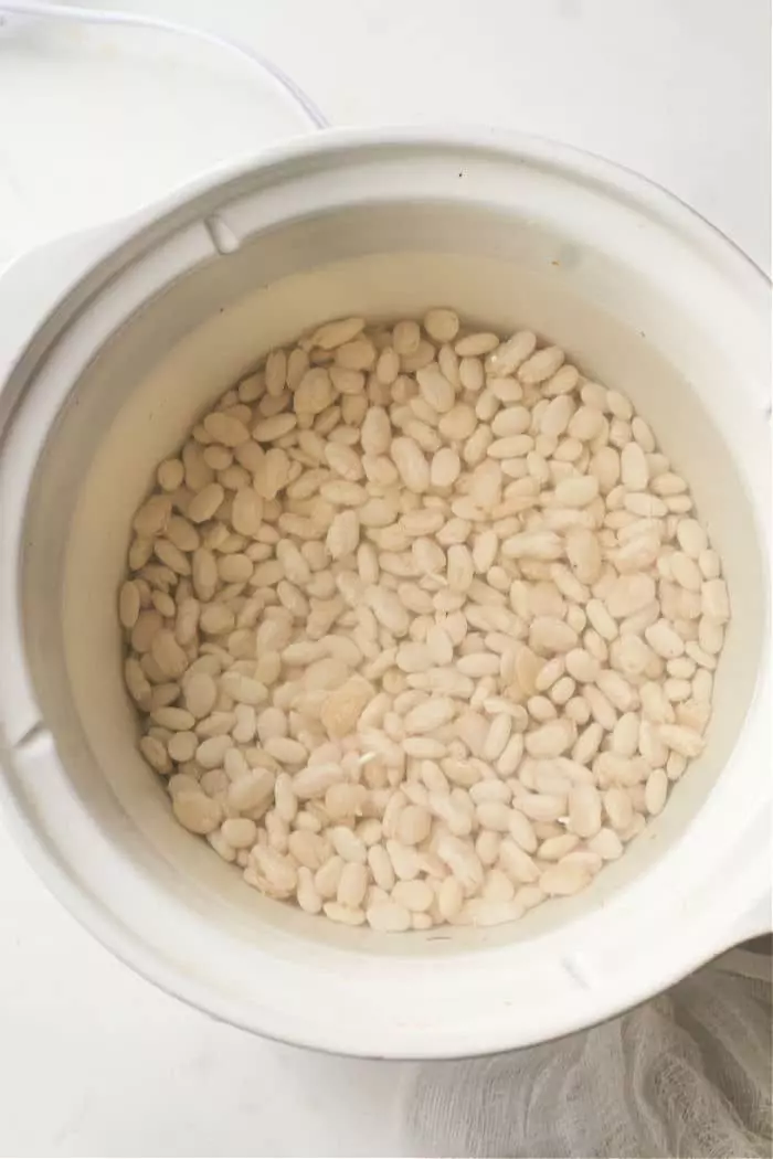 A round white bowl filled with soaked Great Northern beans is shown from a top-down perspective. 