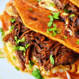 A close-up of three short rib tacos on a white plate. The tacos are filled with shredded meat and melted cheese, topped with chopped fresh cilantro. A bowl of dipping sauce is partially visible in the background.