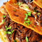 Close-up of short rib tacos with visible shredded meat inside crispy tortillas, garnished with chopped cilantro. Melted cheese is seen under the tacos. The image is overlaid with large text reading "Ultimate Short Rib Tacos.