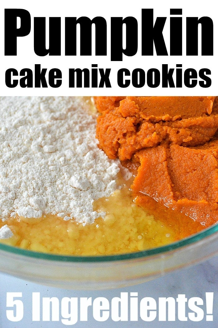 Bowl with pumpkin puree, cake mix, eggs, and oil for pumpkin cookies with cake mix. Text: 5 ingredients.