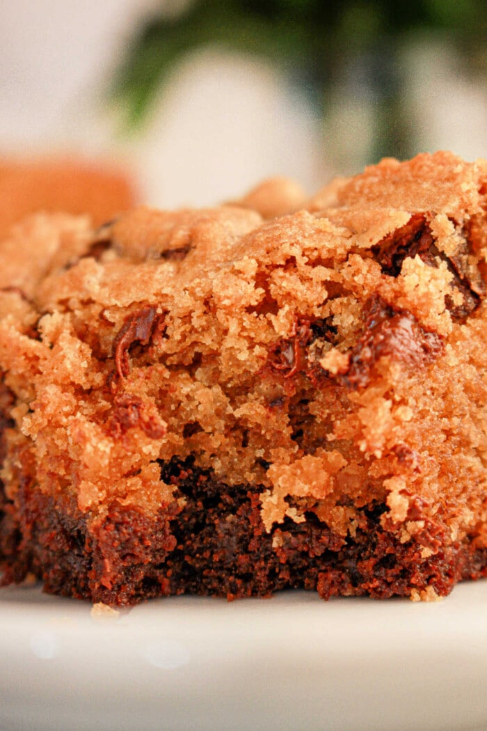 Close-up of a moist slice of chocolate chip cookie cake on a white plate, resembling the perfect blend achieved when learning how to make brookies with brownie mix and cookie dough. The golden-brown crust and melted chocolate chips create a deliciously textured and rich appearance.