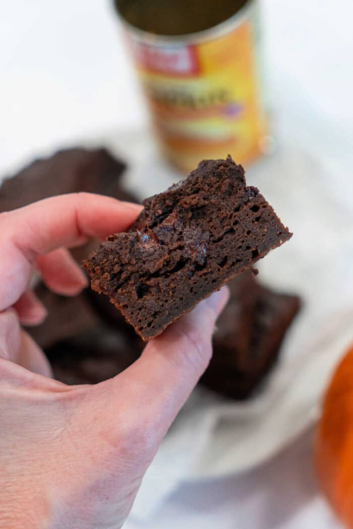 A hand holds a piece of moist pumpkin brownie with a rich interior. In the background, there is a blurred can and more brownies, tempting the senses with their autumnal allure.