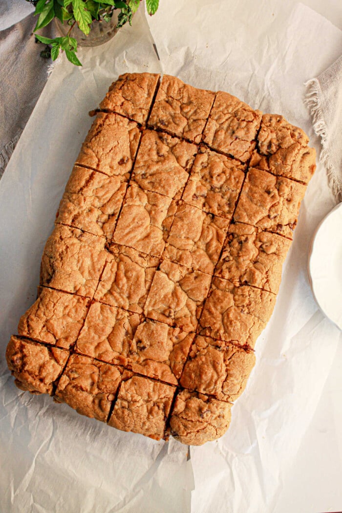 A large rectangular tray of brookies, made with brownie mix, is cut into 24 squares and displayed on a sheet of parchment paper. The brookies have a golden, slightly cracked surface. In the background, a small green plant and a beige cloth add to the scene's charm.