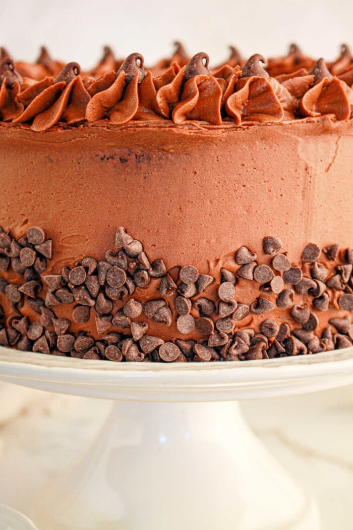 A decadent chocolate cake, crafted with brownie mix, is adorned with swirled frosting and dotted chocolate chips along the sides, elegantly perched on a white stand.