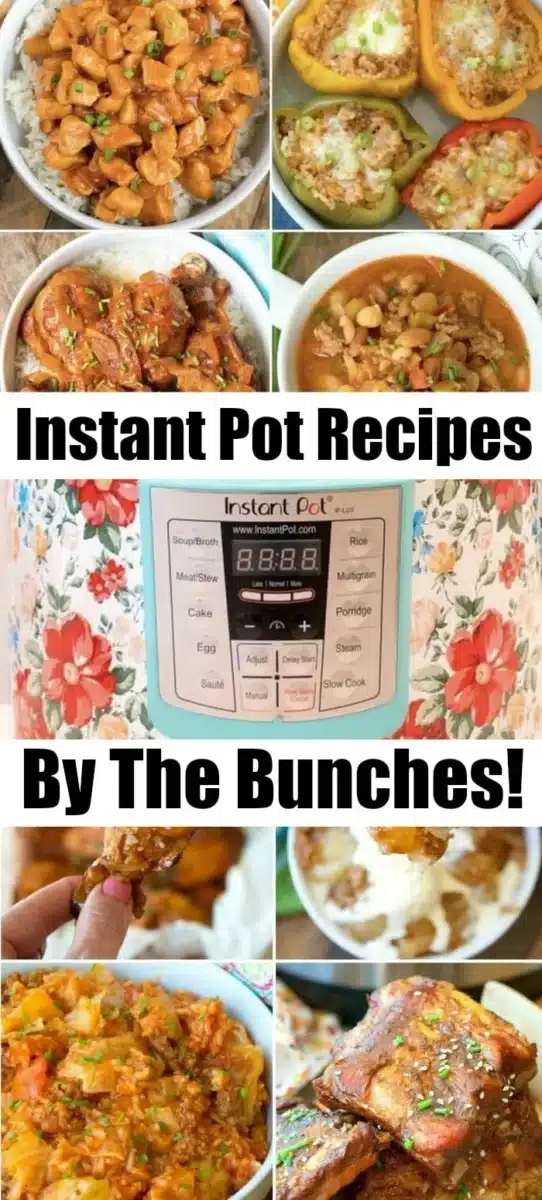 Collage of various dishes cooked in an Instant Pot, including stews, rice dishes, and stuffed peppers. A central image features an Instant Pot with text reading: Delicious Instant Pot Recipes By The Bunches!