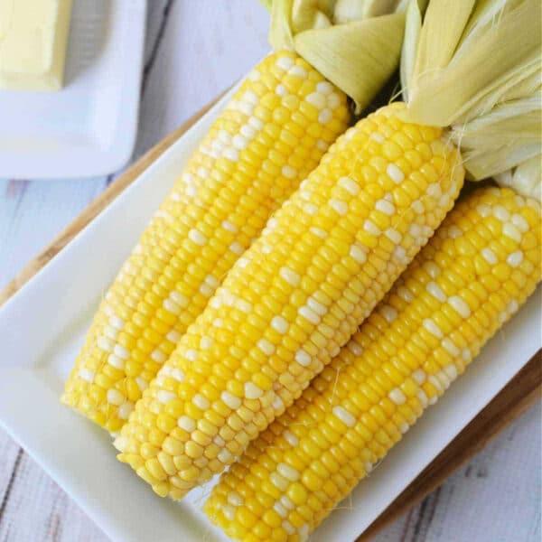 Four ears of fresh corn on the cob with husks, placed on a white rectangular plate—perfect for learning how to cook corn on the cob in the oven for a simple and delicious side dish.