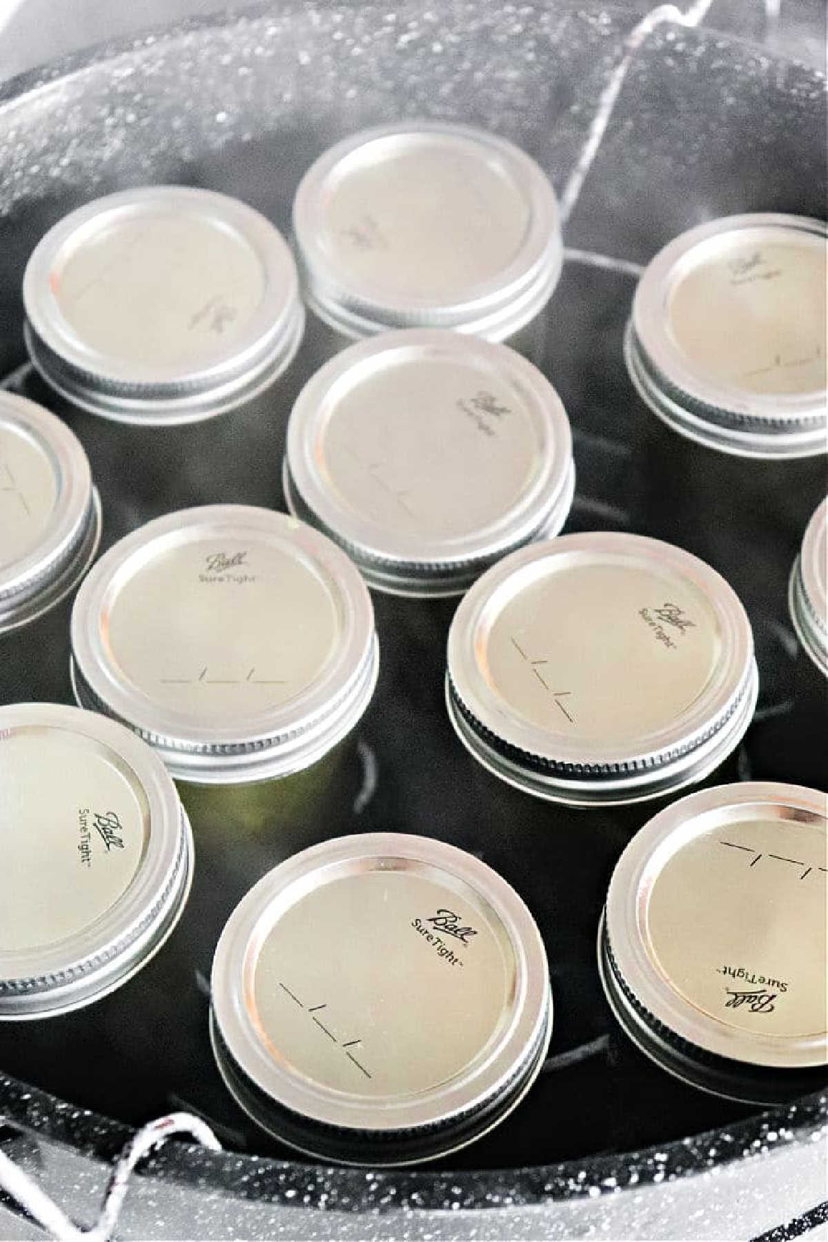 Twelve sealed canning jars are being processed in a large pot, similar to how you’d make pressure cooker jam, with hot water surrounding each jar.