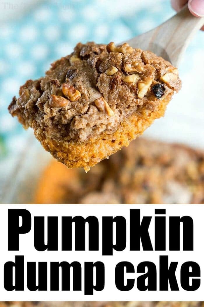 Pumpkin pie dump cake needs just 5 basic ingredients! Topped with ice cream it's heaven! #pumpkin #pumpkinpie #dessert #dumpcake #cake #fall #pumpkinrecipes #pumpkinspice A wooden spoon holds a serving of pumpkin pie dump cake, topped with nuts and crumble.