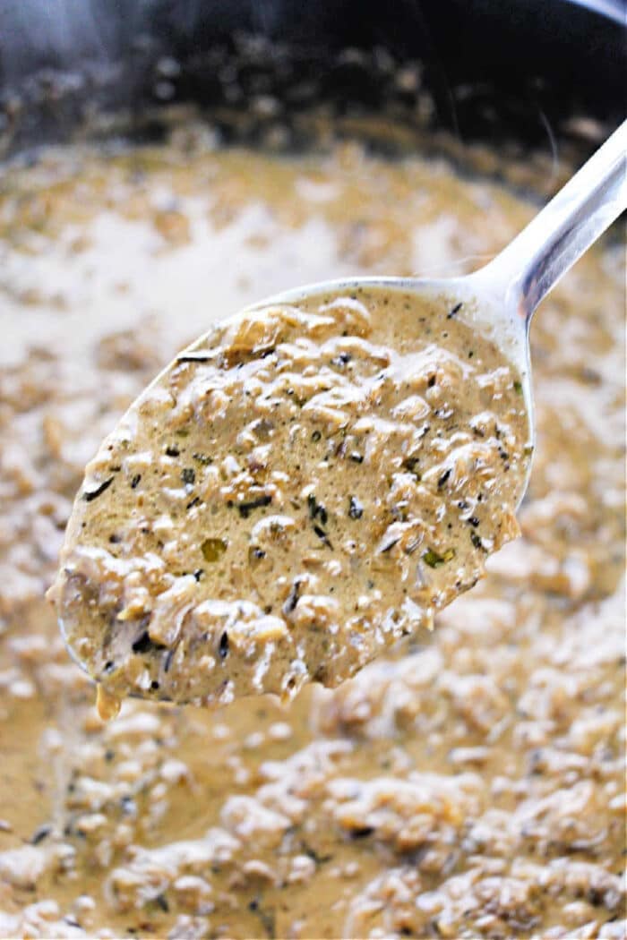 A spoon holding creamy, herbed mushroom sauce—perfect for adding richness to any dish—hovers above a pot of the same sauce. Try pairing it with your favorite onion gravy recipe for extra depth of flavor.