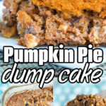 Close-up of pumpkin pie dump cake with chopped walnuts, shown in slices and a baking dish—this easy pumpkin pie dump cake is topped with crunchy walnuts for a perfect fall treat.
