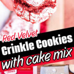 A hand holds a red velvet crinkle cookie; below are cake mix, Red Velvet Crinkle Cookies dough balls, and baked cookies on a tray.