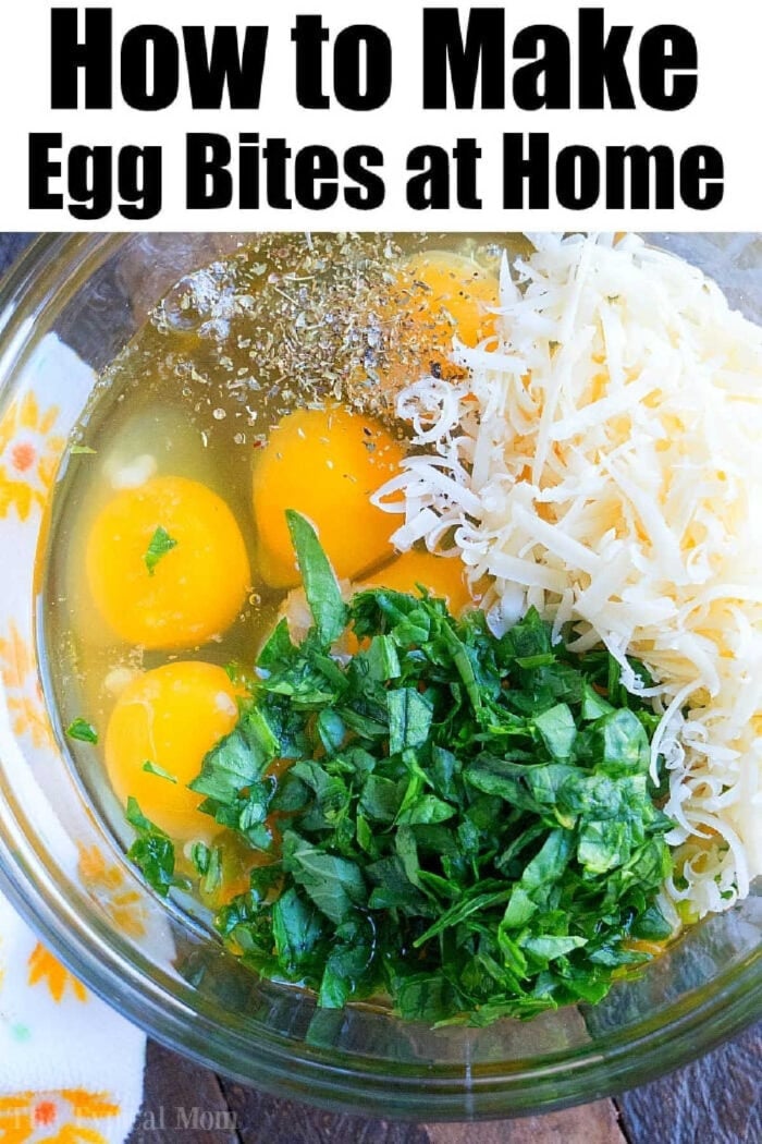 Instant Pot egg bites are the perfect protein packed breakfast for busy mornings. A great Keto Instant Pot recipe with just a few ingredients. #instantpot #eggbites #starbucks #keto #instantpotrecipes #pressurecooker #crockpotexpress #thetypicalmom A bowl with eggs, shredded cheese, chopped spinach, and seasonings, ready to be mixed for delicious pressure cooker egg bites.