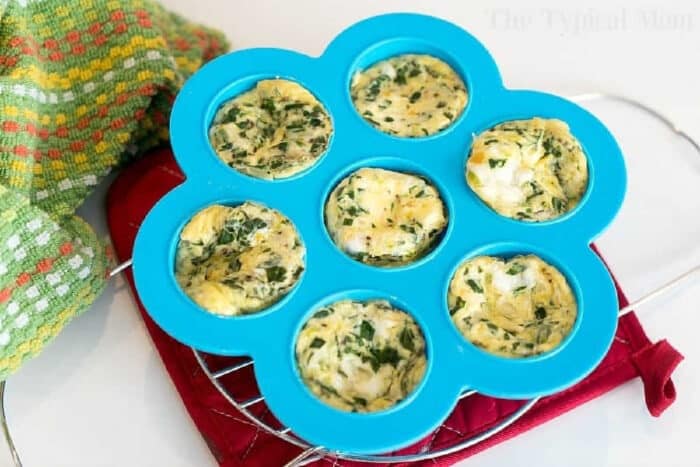 Pressure cooker egg bites are the perfect protein packed breakfast for busy mornings. A great Keto Instant Pot recipe with just a few ingredients. #instantpot #eggbites #starbucks #keto #instantpotrecipes #pressurecooker #crockpotexpress #thetypicalmom Seven pressure cooker egg bites with herbs in a blue silicone mold, resting on a red oven mitt and cooling rack.