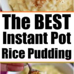 Bowl of rice pudding topped with cinnamon, with text: The BEST instant pot rice pudding recipe.