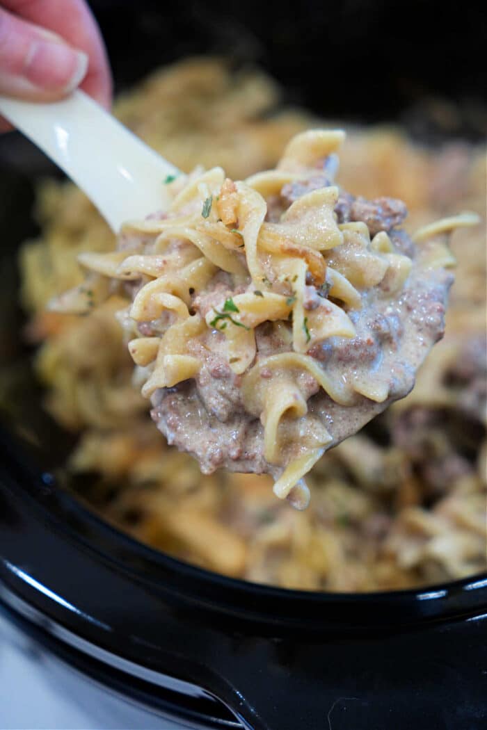 A spoonful of creamy Slow Cooker beef and noodle casserole held above a pot, ready to be served.