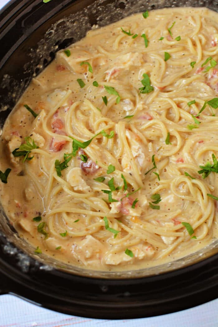 Creamy spaghetti with tomatoes and herbs cooked in a Crockpot, garnished with chopped parsley&mdash;a comforting take on classic Chicken Spaghetti made easy.