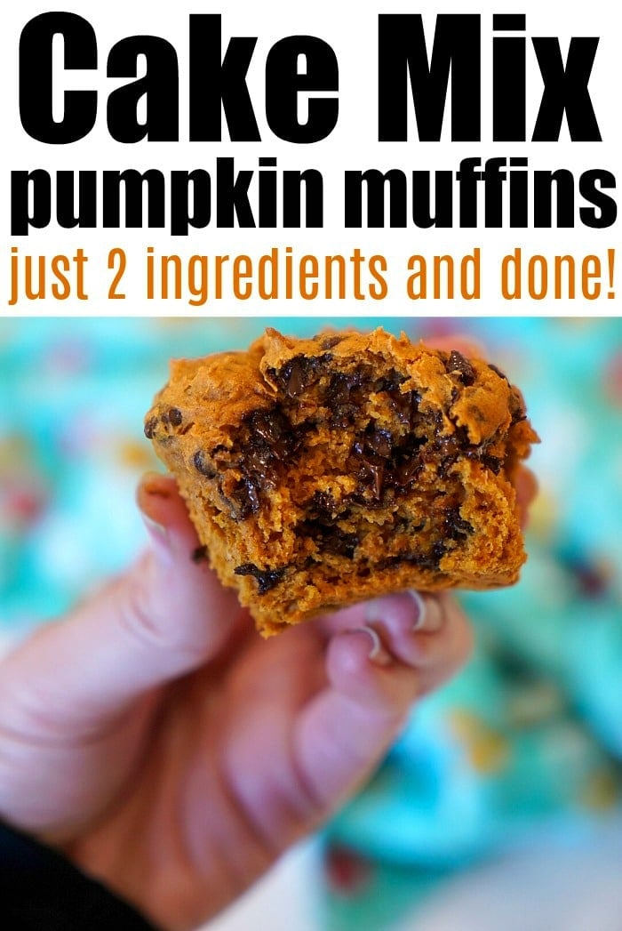 Hand holding a pumpkin chocolate chip muffin with a bite taken out; text promotes easy 2-ingredient boxed cake mix recipes.