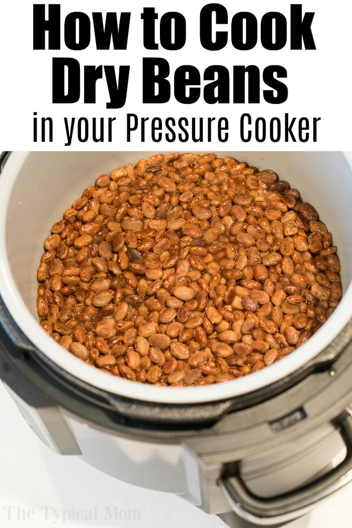 Homemade pressure cooker refried beans recipe that uses no lard and there is no pre soaking required! Perfect addition to burritos or 7 layer dip! #instantpot #refriedbeans #beans #pressurecooker #instantpotrecipes #thetypicalmom #homemade Text overlay reads How to Cook Dry Beans in your Pressure Cooker above a pot of pinto beans for pressure cooker refried beans.